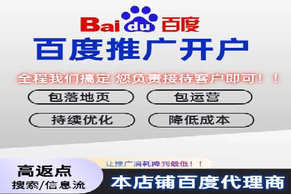 深度解析：百度推广费用与ROI的关联案例